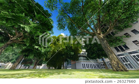 Green city park in sunny and beautiful summer day 26327660