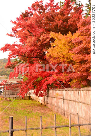 Bamboo enamel and red autumn leaves Bamboo enamel and red autumn leaves 26327705