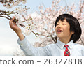 spring, cherry blossom, cherry tree 26327818
