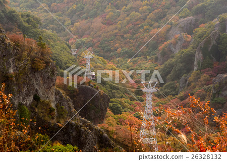 Shodoshima Kanjisuki 26328132