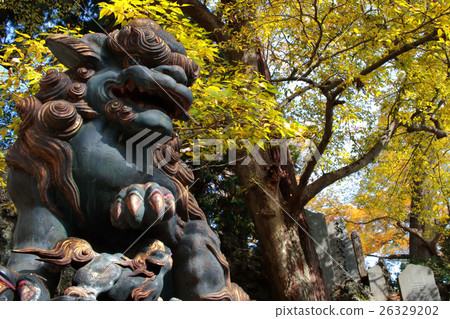 Timber with colored lion and autumn leaves Timber with colored lion and autumn leaves 26329202