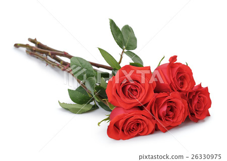 圖庫照片: five bright red roses isolated on white