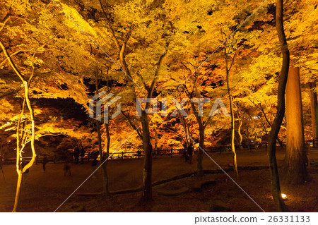 Autumn leaves of Konami River 26331133