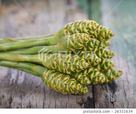 beautiful tropical green ginger flower on wood 26331634