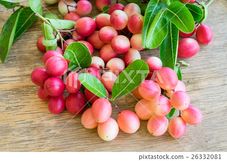 Carunda,Karonda,Carissa carandas,Apocynaceae 26332081