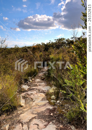Mt. French National Park of Boonah Mt. French National Park of Boonah 26332615