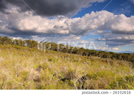Mt. French National Park of Boonah Mt. French National Park of Boonah 26332616