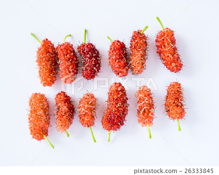 Mulberry ripe sorted colorful valuable Mulberry ripe sorted colorful valuable 26333845