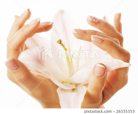 beauty delicate hands with manicure holding flower 26335353