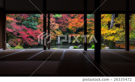 Momiji stained with seven colors 26335472