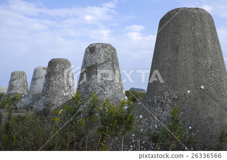 A tetrapod like an object 26336566