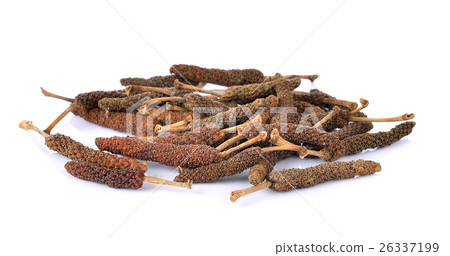 longpepper on white background 26337199
