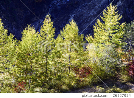 Fall of the North Alps Fanzawa Black Four Dam 26337934