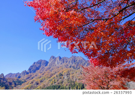 Autumnal leaves and Myogi mountain 26337993