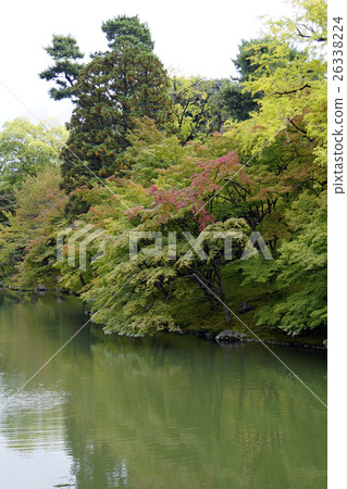 遷移花園戰國皇宮小川Kaneme 26338224