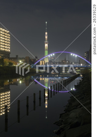 Night view of the Tokyo Sky Tree of the Christmas limited lighting · champagne tree and the former Nakagawa Fureai bridge (vertical) Night view of the Tokyo Sky Tree of the Christmas limited lighting · champagne tree and the former Nakagawa Fureai bridge (vertical) 26339129