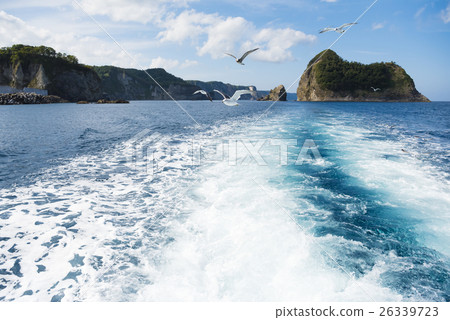 Cruising image cut with Shakotan (+ Seagull) Cruising image cut with Shakotan (+ Seagull) 26339723