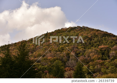 Shinsuke mountain autumn leaves in autumn mountain Shinsuke mountain autumn leaves in autumn mountain 26339739