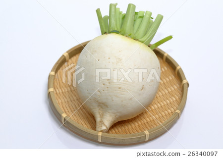Round daikon Round daikon 26340097