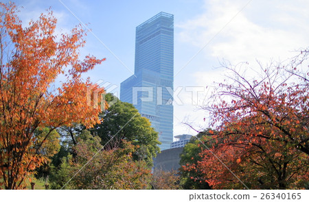 阿倍野Harukasu 26340165