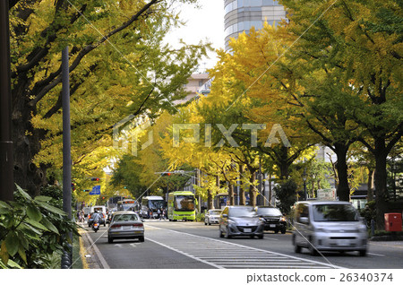 Koen靜態街道在秋天 Koen靜態街道在秋天 26340374