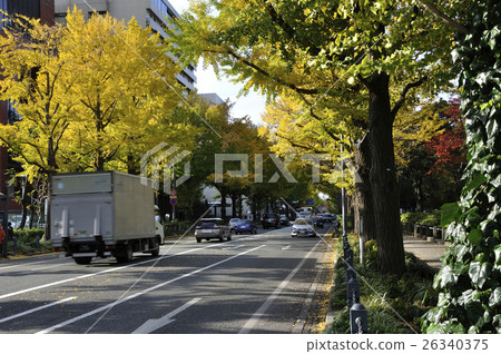 Koen靜態街道在秋天 Koen靜態街道在秋天 26340375