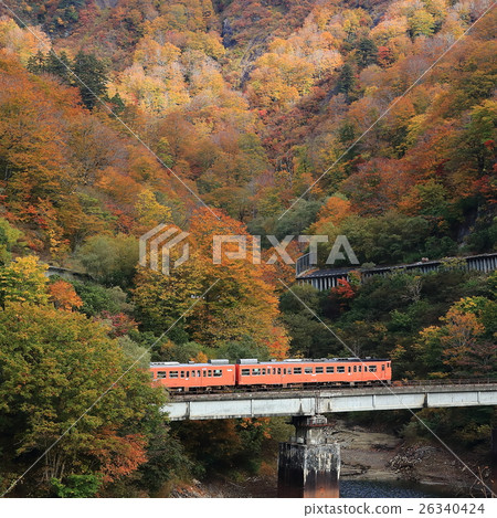 Tadami line of autumn leaves Tadami line of autumn leaves 26340424