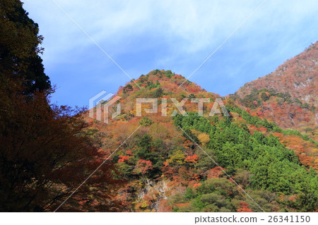 Autumn leaves of Beppu Gorge 26341150