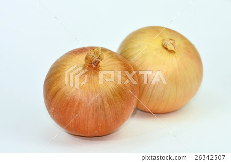 洋蔥（洋蔥） 26342507