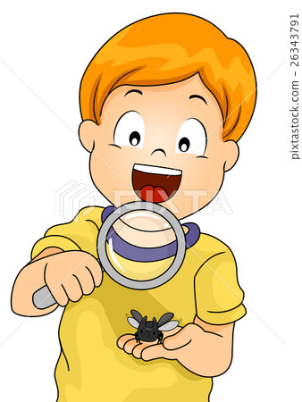 Kid Boy Rhinoceros Beetle Study 26343791