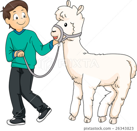Kid Boy Pet Alpaca 26343823