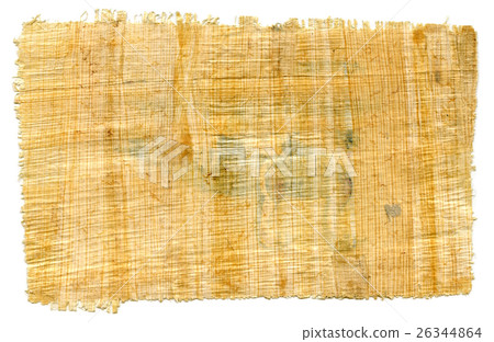 Egyptian Papyrus Egyptian Papyrus 26344864