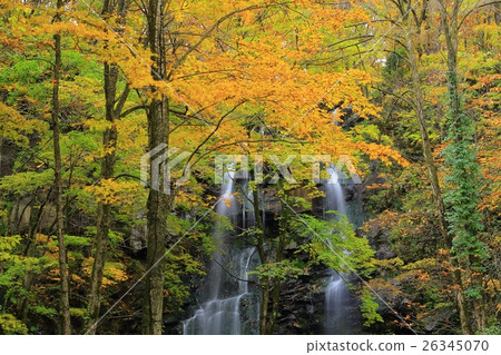 Akita prefecture autumnal leaves friendship waterfall Akita prefecture autumnal leaves friendship waterfall 26345070