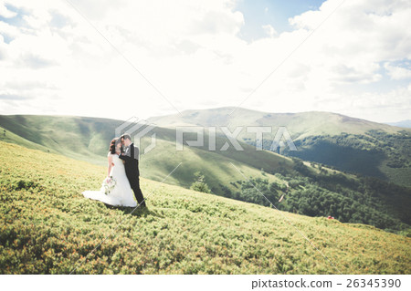 Kissing wedding couple staying over beautiful 26345390