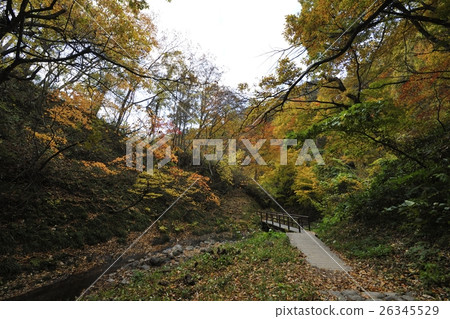 秋葉·地獄谷長廊(宮城縣)的Onikobe 秋葉·地獄谷長廊(宮城縣)的Onikobe 26345529