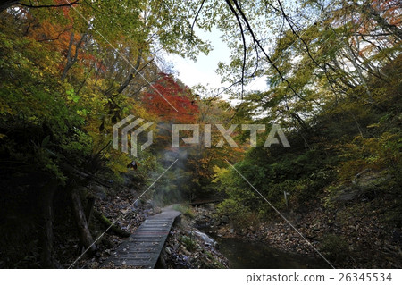 Jigokudani Footstep autumn · Onikobe (Miyagi Prefecture) Jigokudani Footstep autumn · Onikobe (Miyagi Prefecture) 26345534
