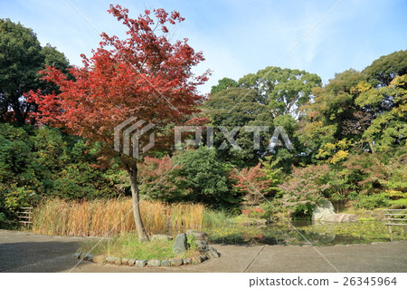 Nogeyama park's pond 26345964