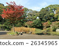 Nogeyama公園的池塘 26345965