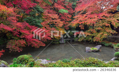 蓮花寺在秋天 蓮花寺在秋天 26346836