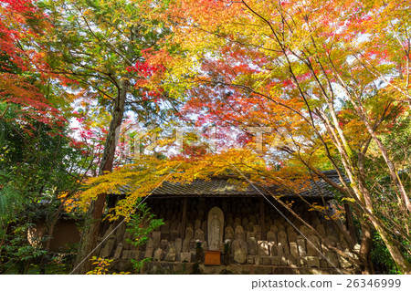 蓮花寺在秋天 蓮花寺在秋天 26346999