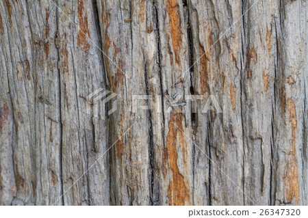 Old wood texture 26347320