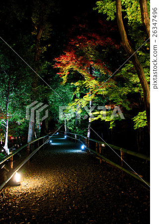 Kitano Tenman-gu Shrine 26347496