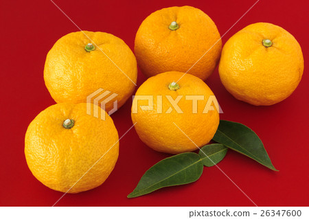 Citron Citron 26347600