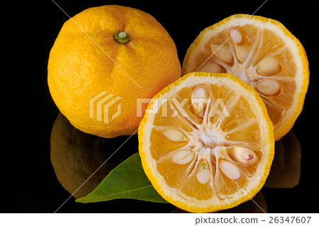 Citron Citron 26347607