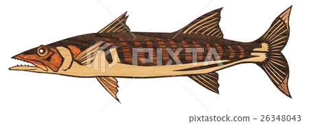 Fish camas illustration Fish camas illustration 26348043