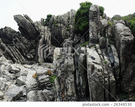 Muroto Coast National Monument and Turbidite Formation 26348530