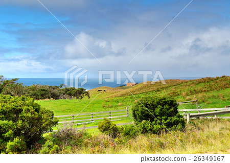 Great Ocean Road scenic drive of Melbourne 26349167