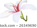 Hakka 26349690
