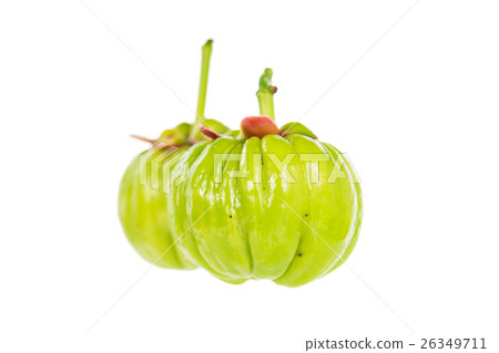 Garcinia cambogia fresh fruit, isolated on white. Garcinia cambogia fresh fruit, isolated on white. 26349711