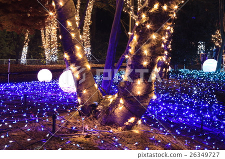 Christmas illumination  26349727